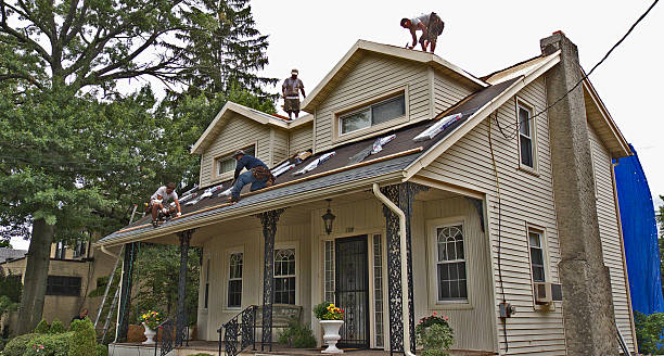 Best Roof Repair Specialists  in Le Center, MN