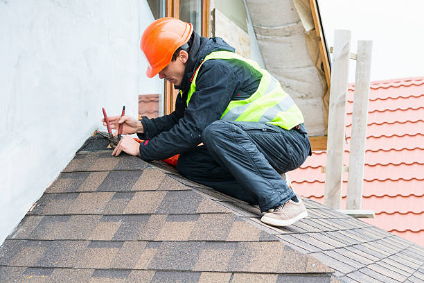 Best Flat Roof Repair Services  in Le Center, MN