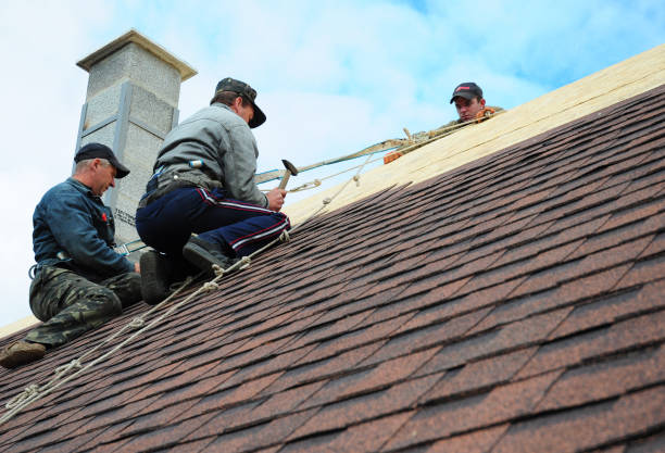 Best Shingle Roofing Installation  in Le Center, MN